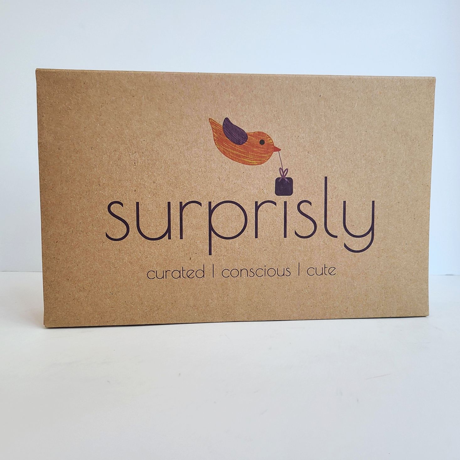 Surprisly Baby Clothing Subscription Box Review – August 2020
