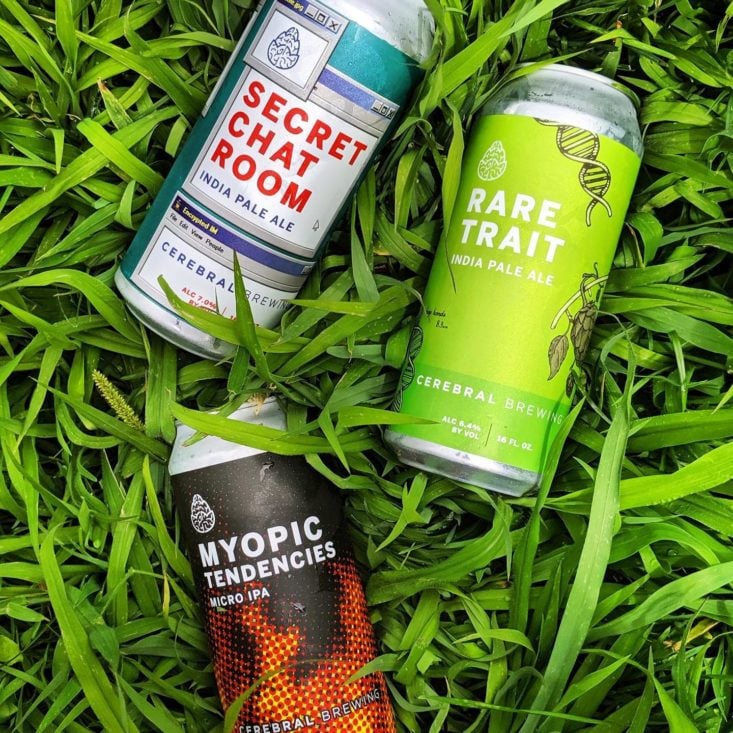  Trois canettes de bière artisanale dans l'herbe.