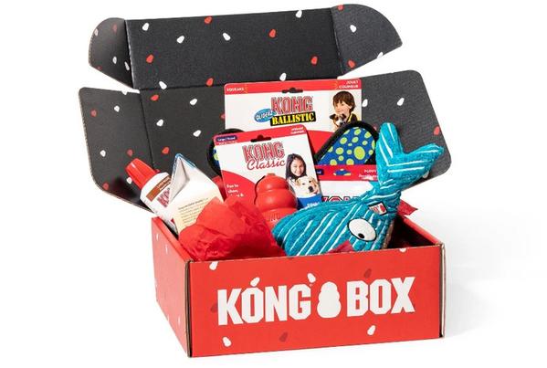 Kong Box open to show toys and treats.