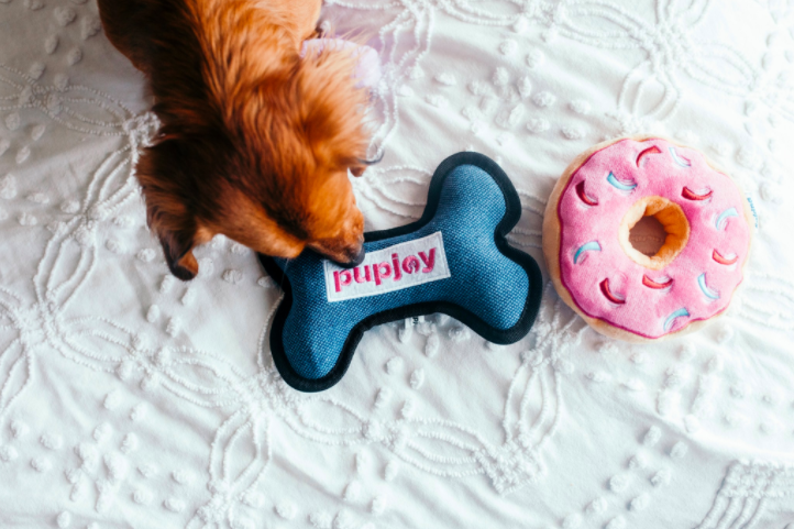 Dog sniffing a Pupjoy branded dog toy.