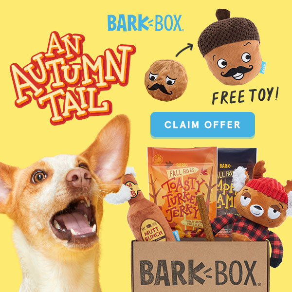 Barkbox Free Acorn Toy With