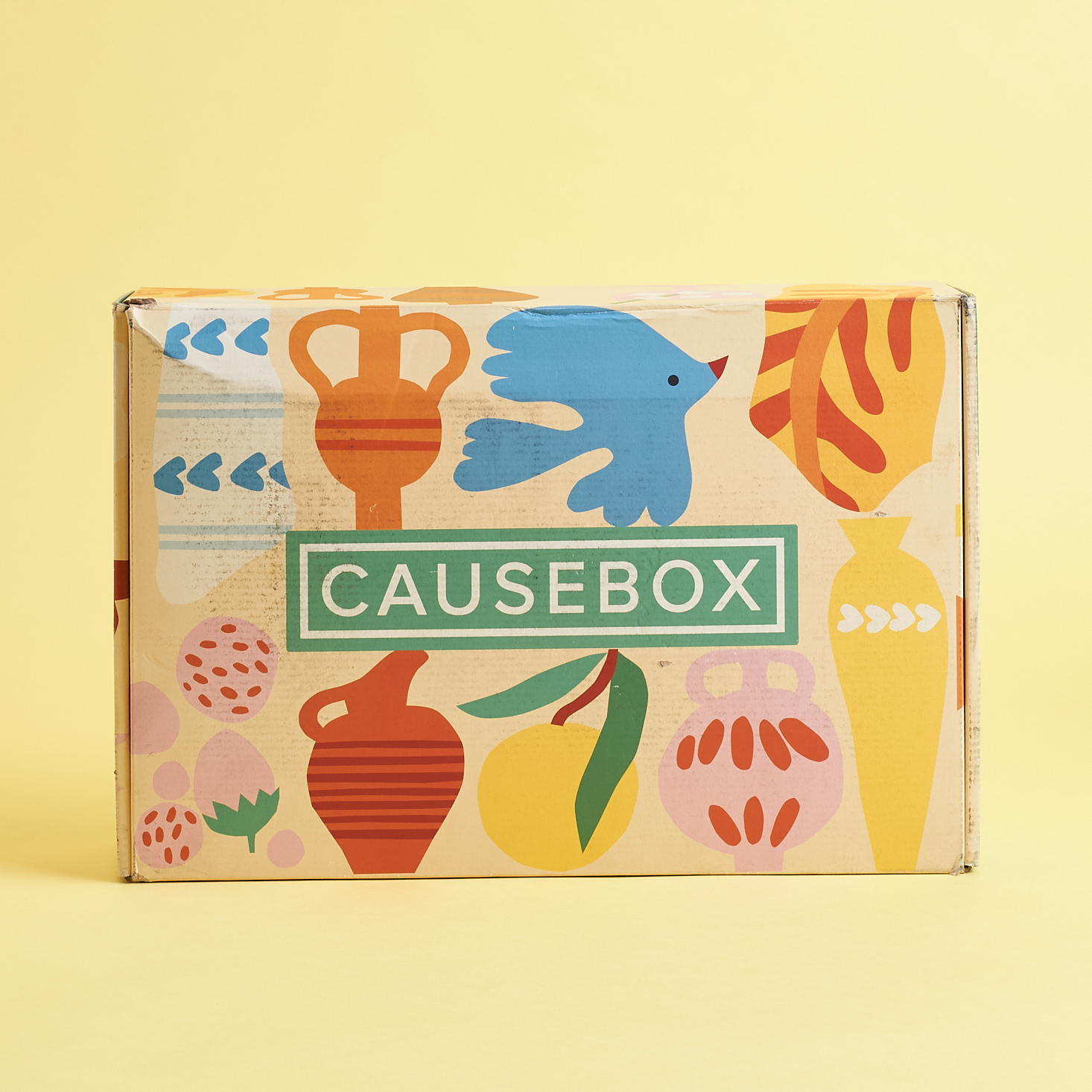 CAUSEBOX Subscription Box Review – Summer 2020