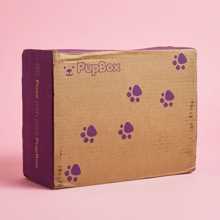Pupbox Adult August 2020 Box itself