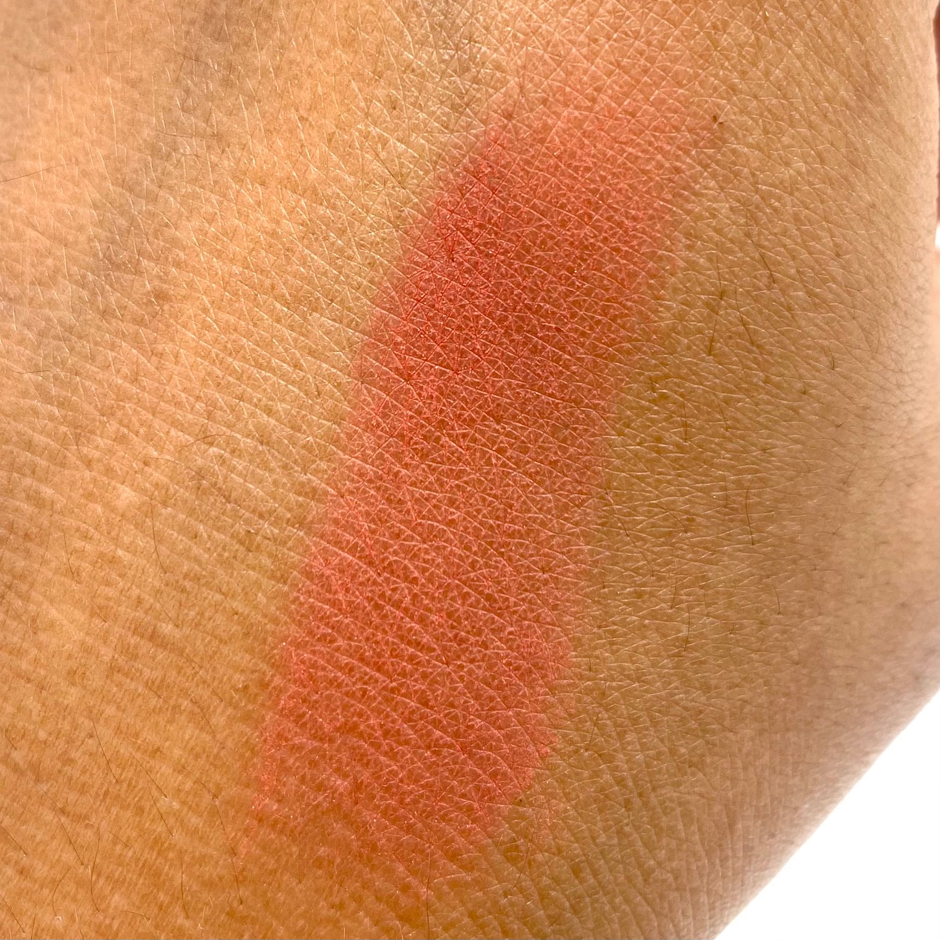 Vera Moore Cosmetics Vera Moore Blush Swatch for the Beem Box September 2020