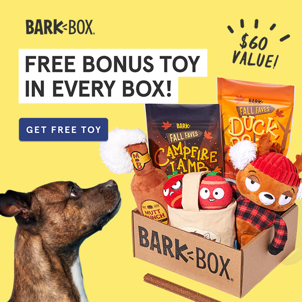 BarkBox Coupon - Free Toy in EVERY Box! | MSA