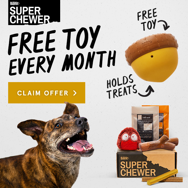 Super Chewer Coupon – Free Toy With Each Box!