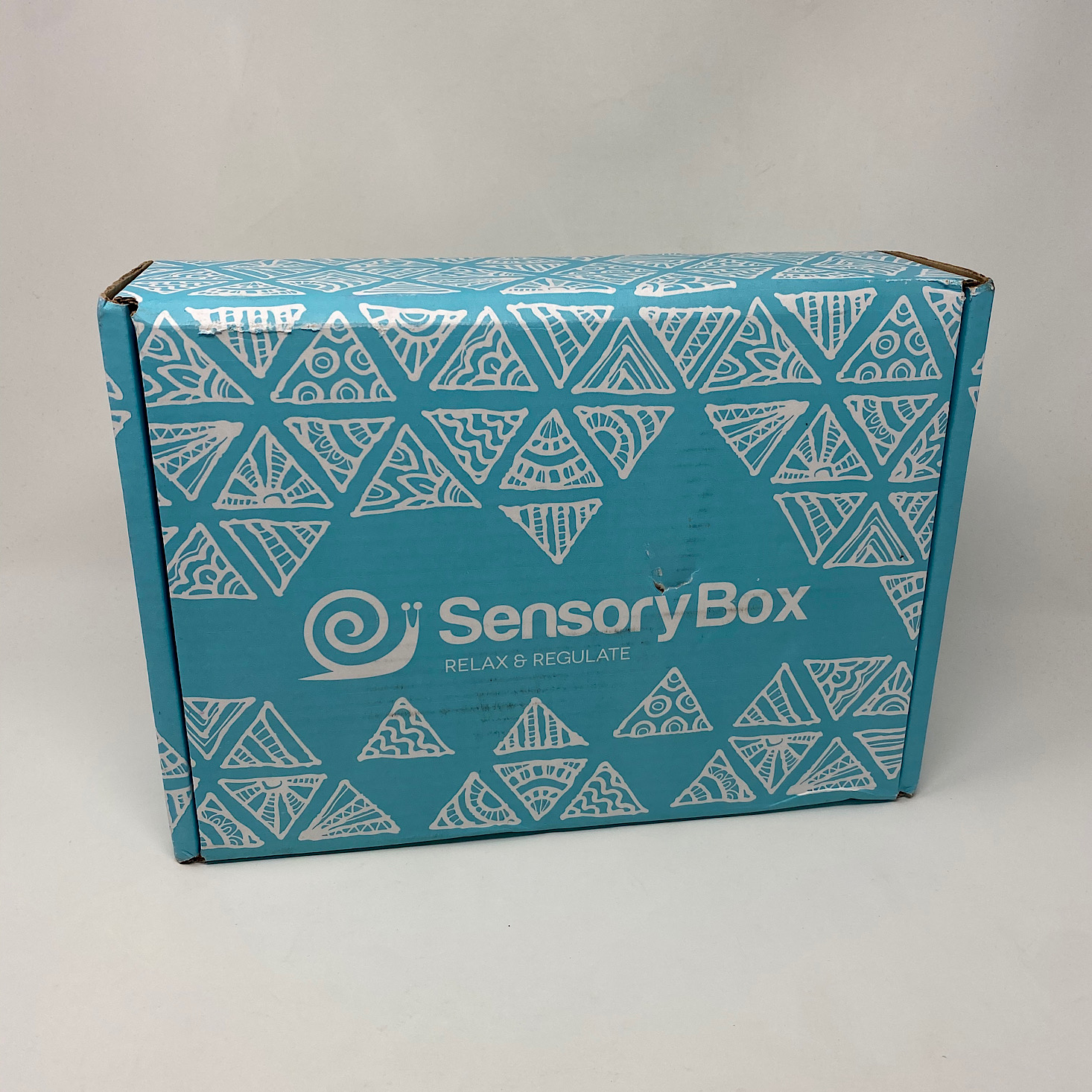 Sensory Box Review + Coupon – Fall 2020