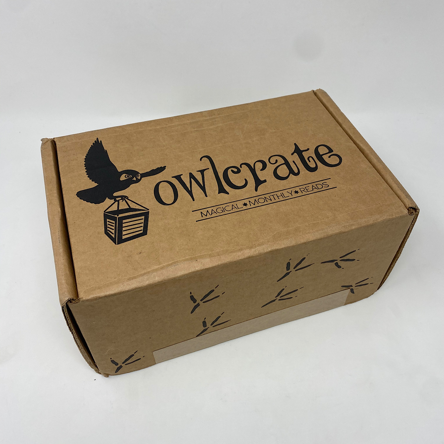 OwlCrate YA Book Box Review + Coupon – October 2020