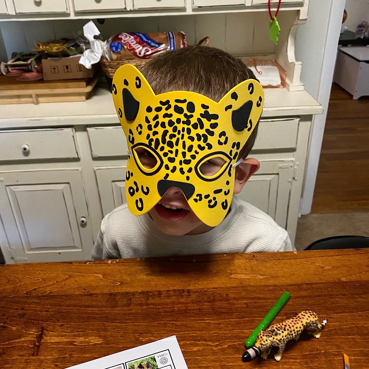 Animal Trackers Club Review – October 2020