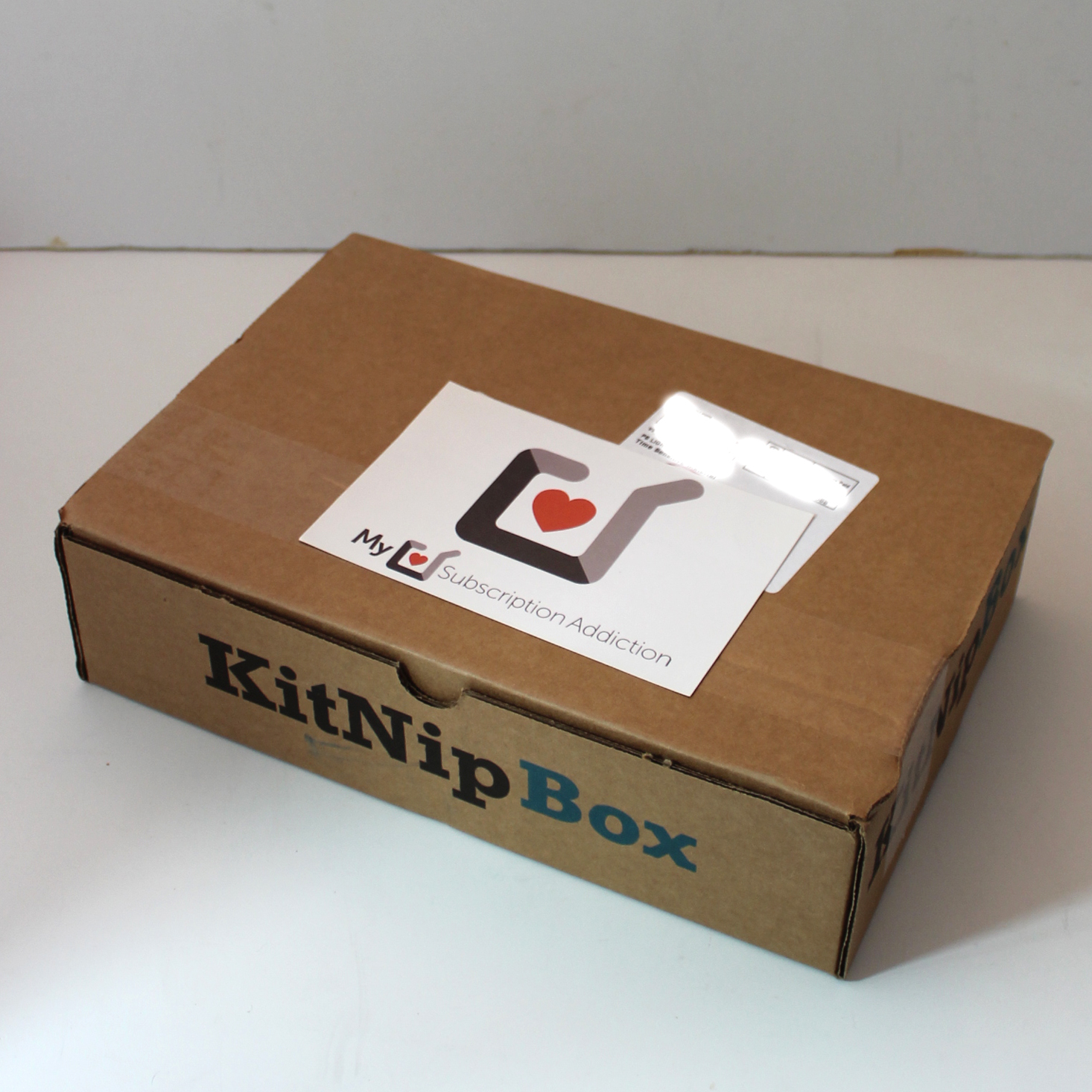 KitNipBox Cat Subscription Review + Coupon – October 2020