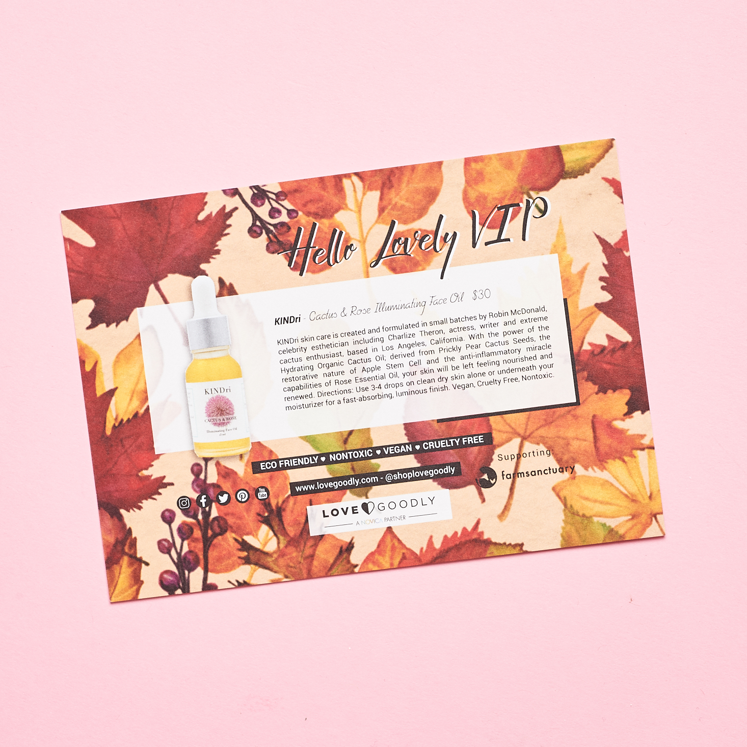 Love Goodly October/November 2020 VIP item description