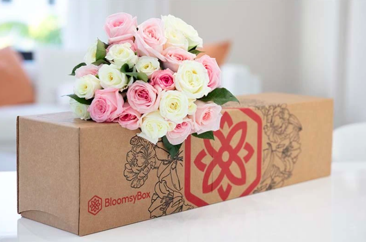 Bloomsybox roses