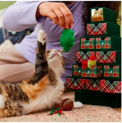 Frisco Pet Advent Calendars – Available Now!