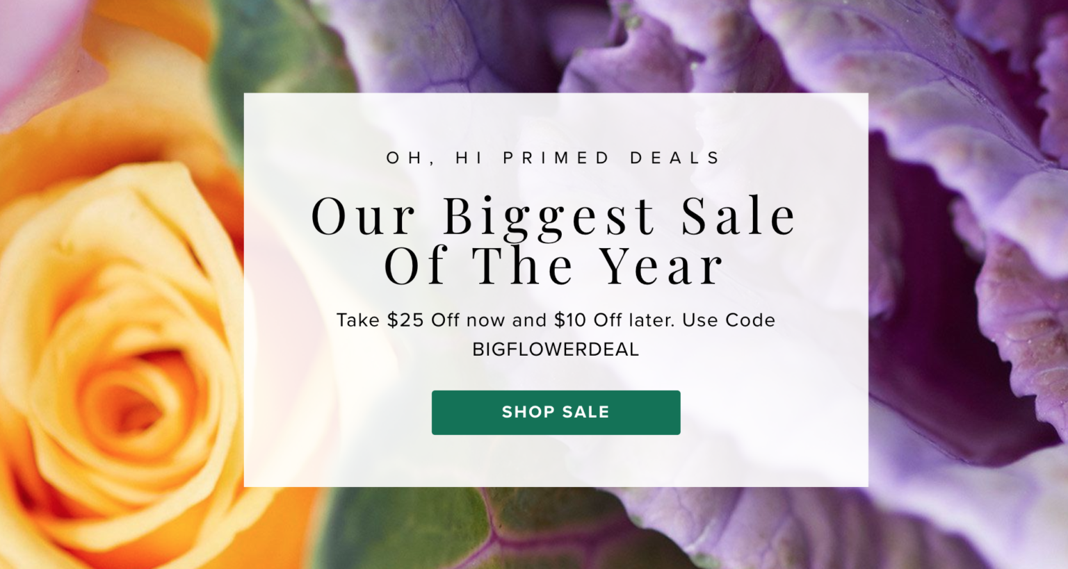 Extended! The Bouqs Prime Sale Off Select Bouqs + Coupon! MSA