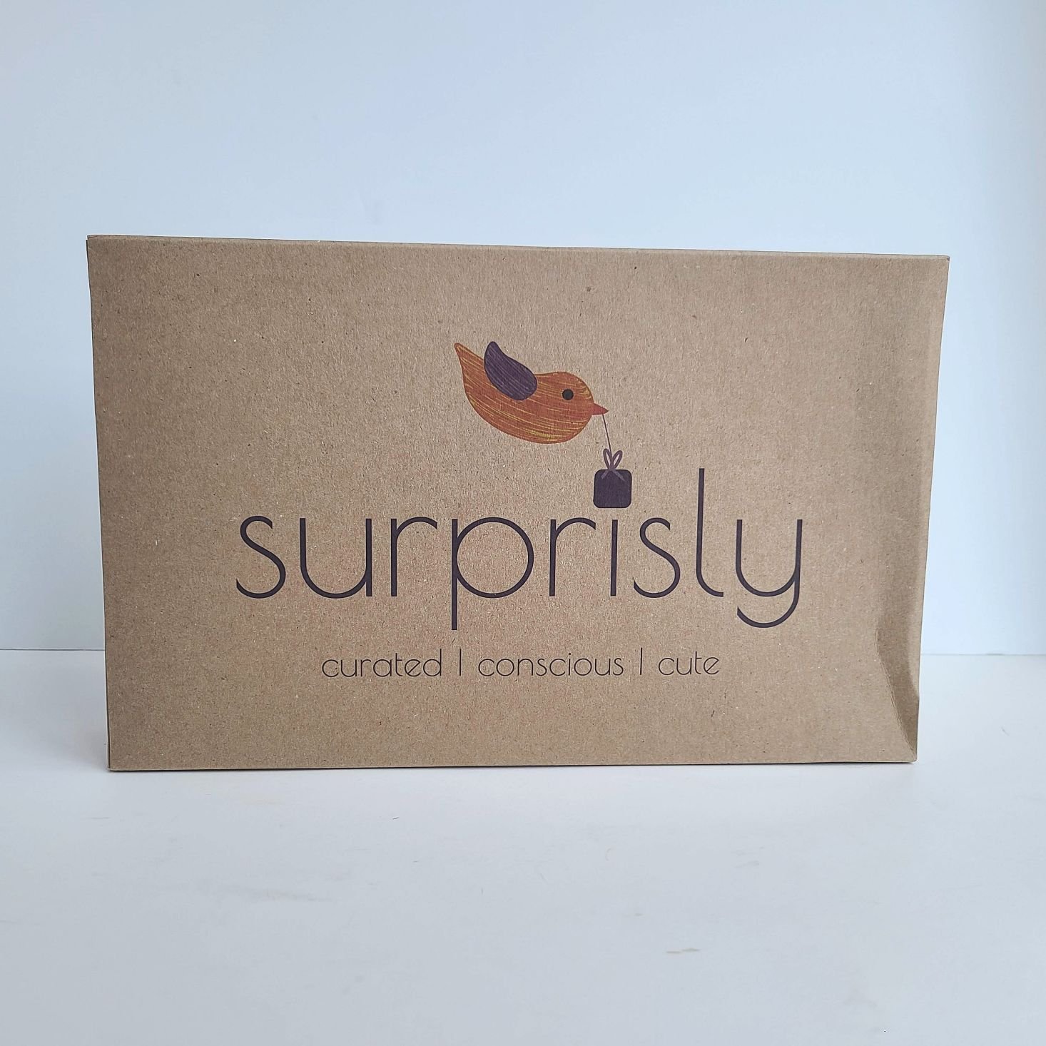 Surprisly Baby Clothing Subscription Box Review – September 2020