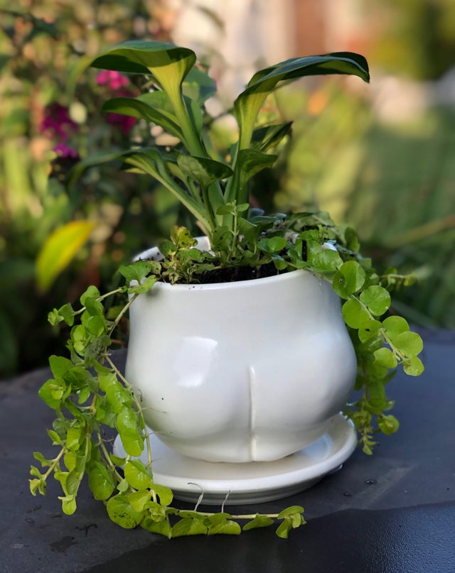 Butt Planter With Tray