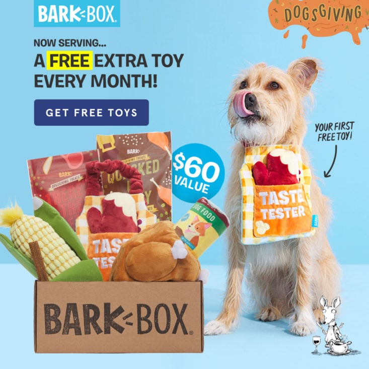 Dog with Bark Box November 2020 Extra Toy Deal