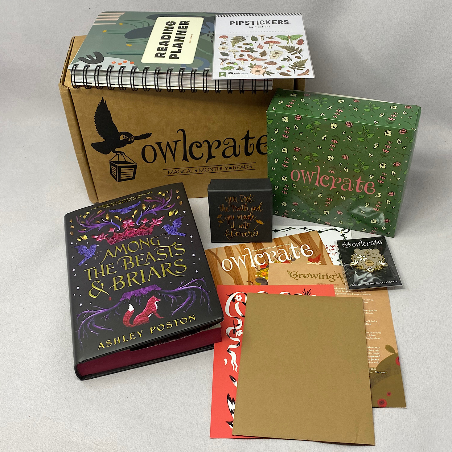 OwlCrate YA Book Box Review + Coupon – November 2020