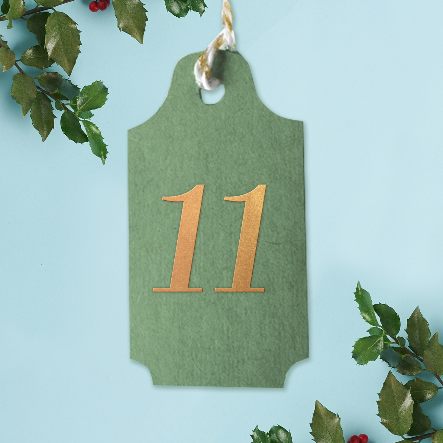 BTBF Countdown Giveaway Day 11!