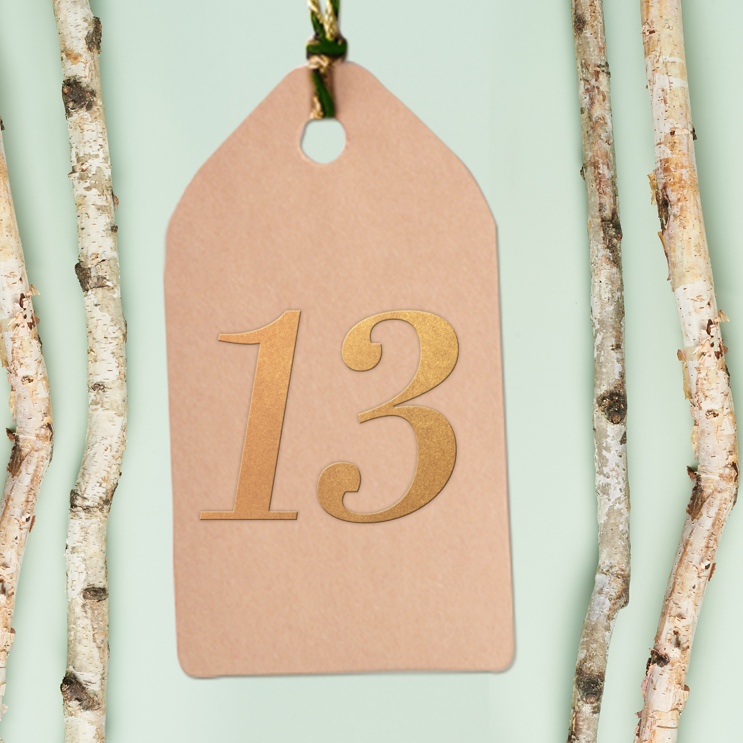 BTBF Countdown Giveaway Day 13!