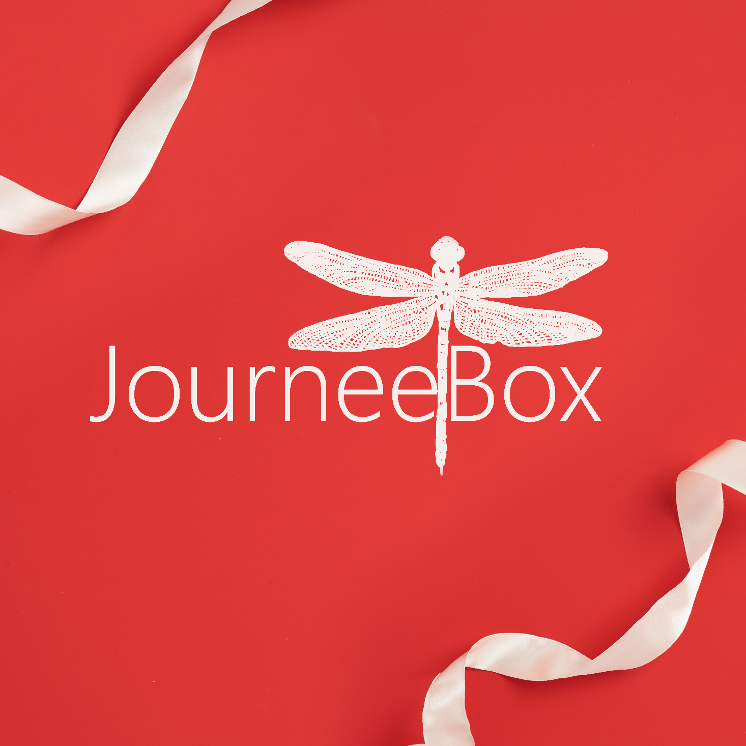 JourneeBox – Better Than Black Friday 2020 Deal!