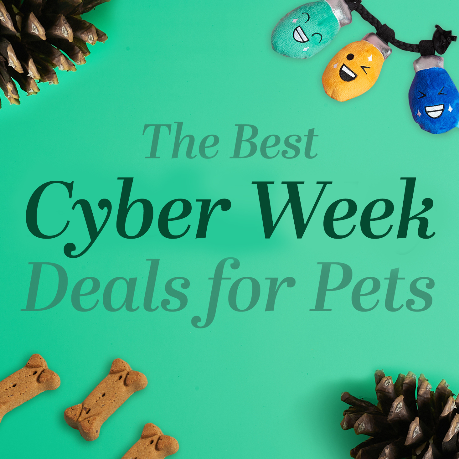 The Best Cyber Monday PET Subscription Box Deals!