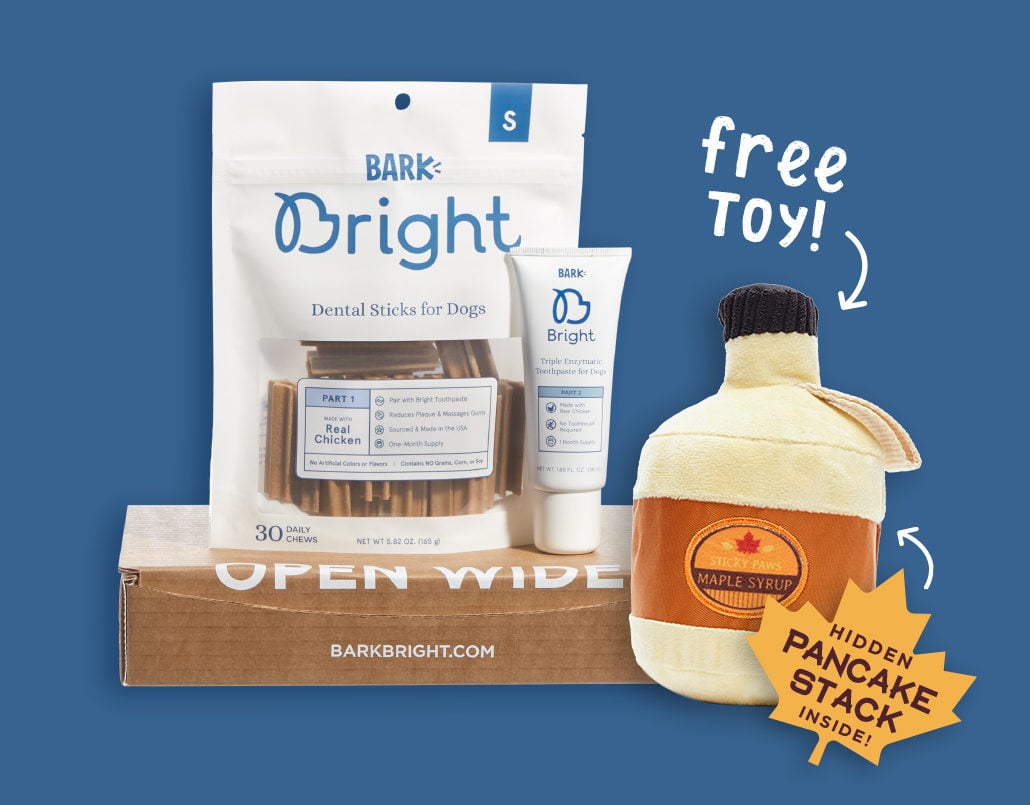 bark bright dental toy