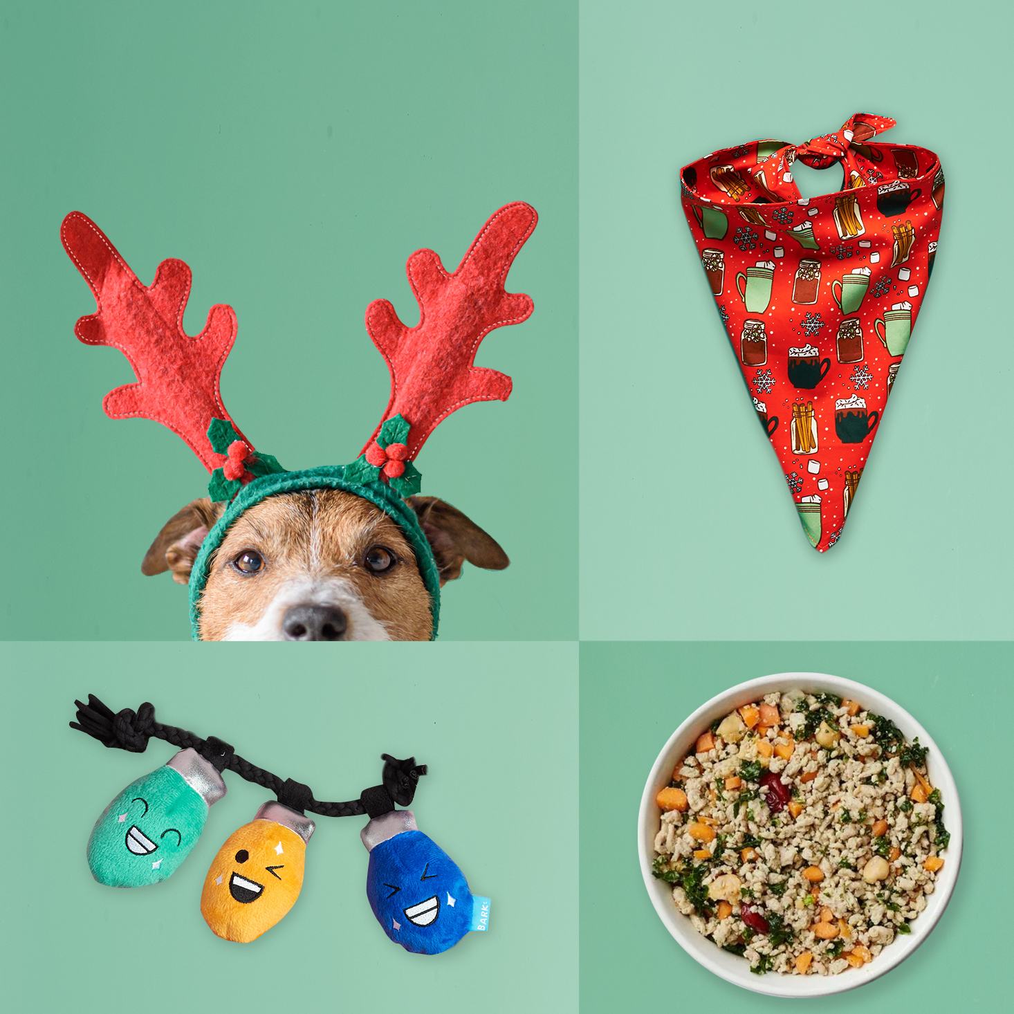 21 Gift Subscription Boxes for Pets and Their Owners