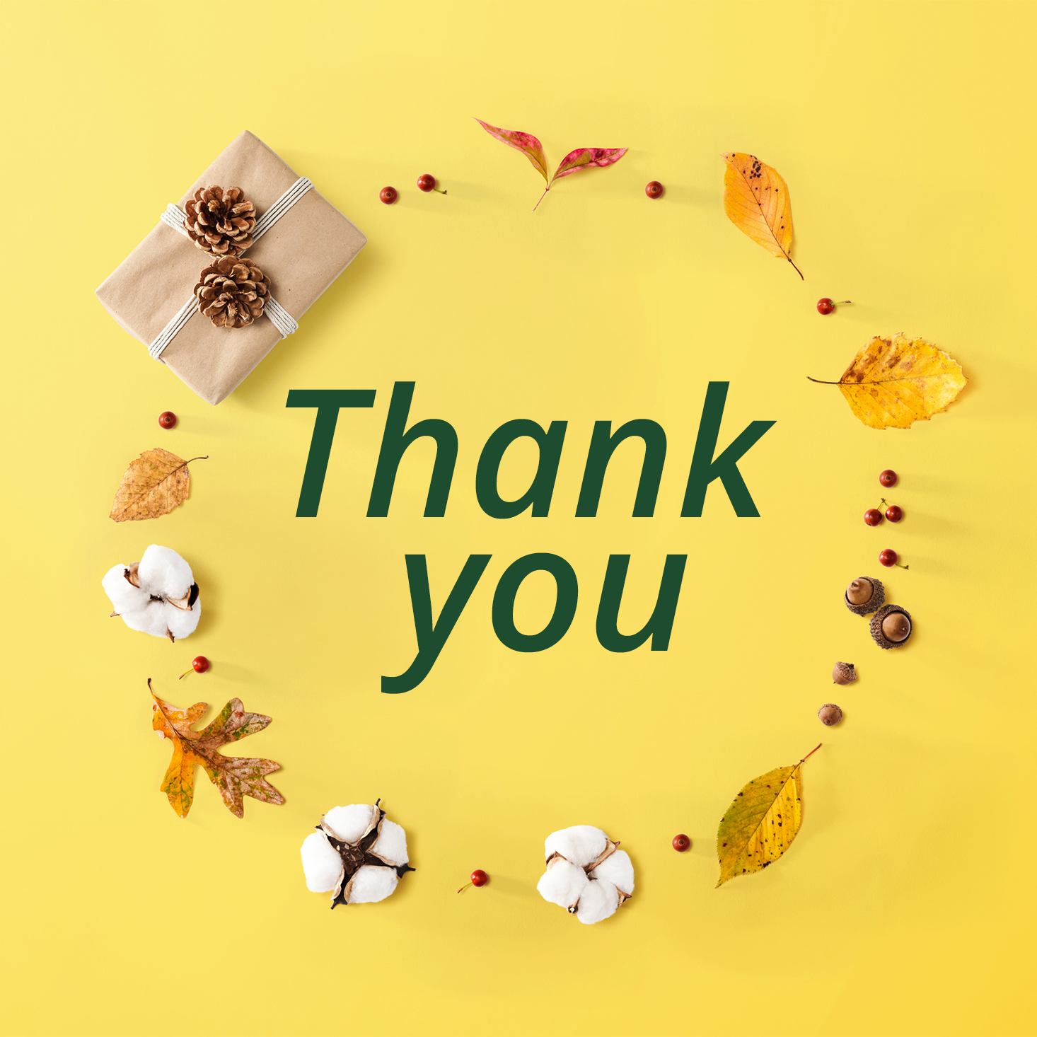 Thank You To MSA’s Top Commenters of 2020!