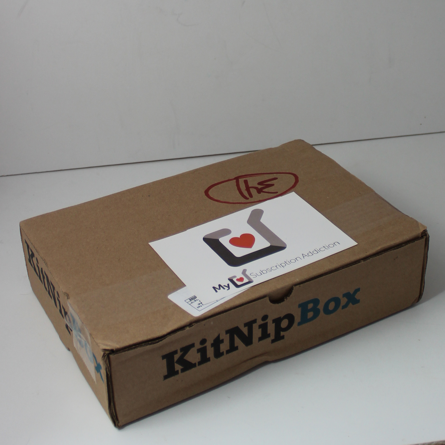 KitNipBox Cat Subscription Review + Coupon – December 2020