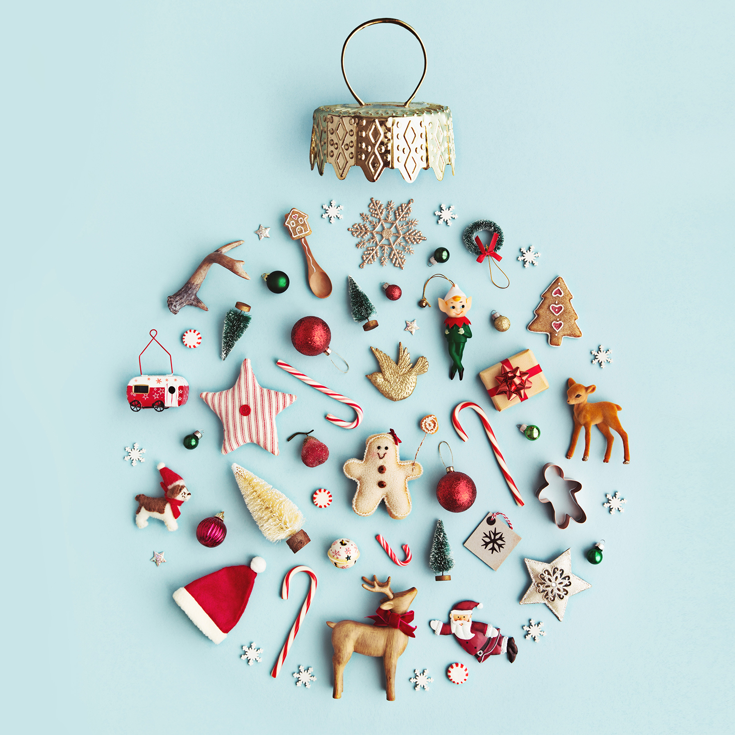 Our Holiday Plans: The MSA Team Shares Their Favorite Traditions