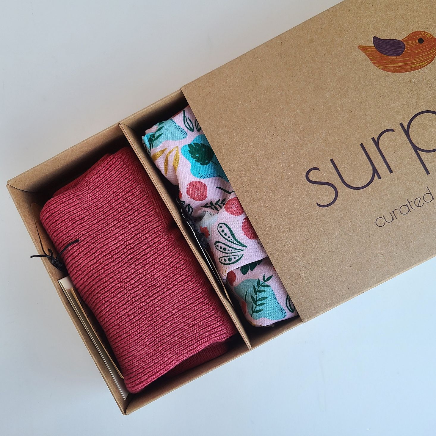 Surprisly Baby Clothing Subscription Box Review – November 2020