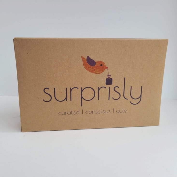 Suprisly October 2020 box