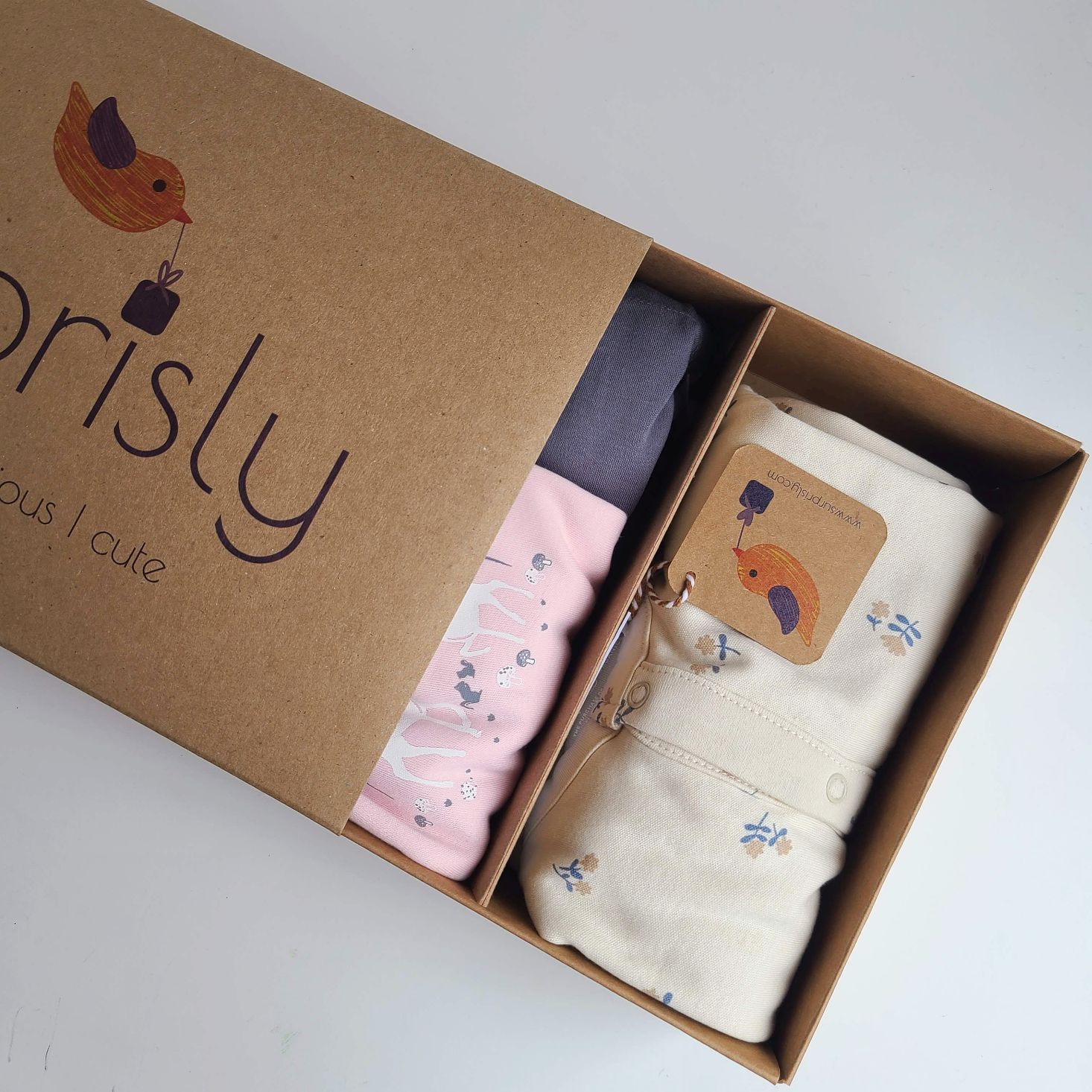 Surprisly Baby Clothing Subscription Box Review October 2020 MSA