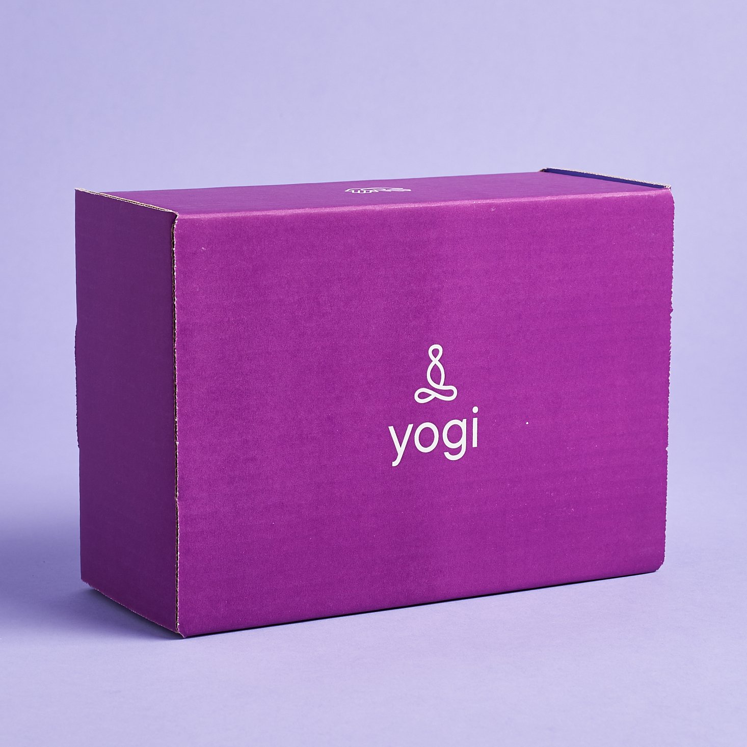 Yogi Surprise Subscription Box Review + Coupon – November 2020