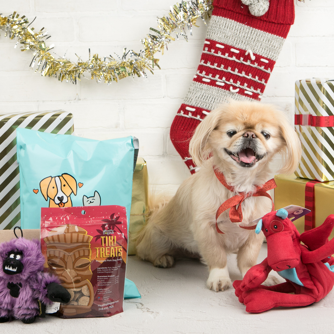 Pet Treater Black Friday Coupon – 55% Off Your First Box!