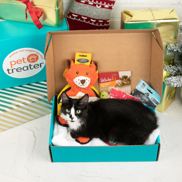pet treater box with cat
