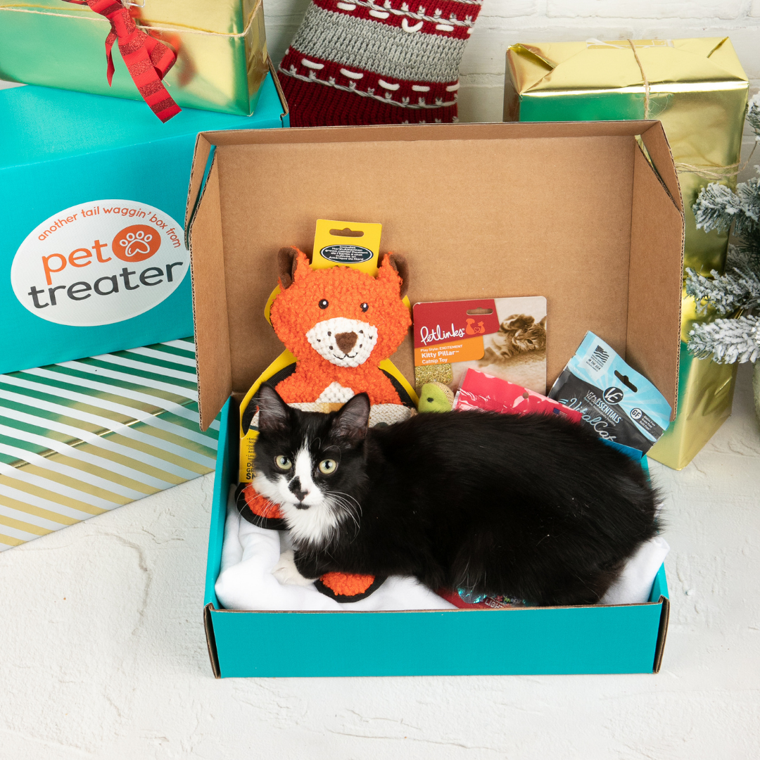 Pet Treater Coupon – 50% Off Your First Box!