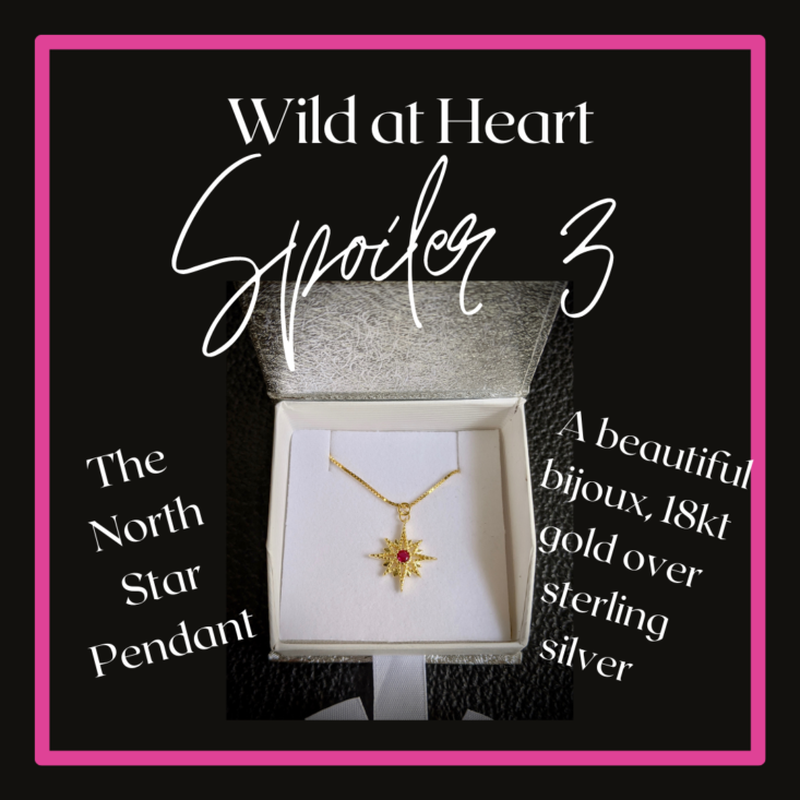 Heart + Honey November 2020 Wild at Heart Box Spoiler #3 North Star Pendant