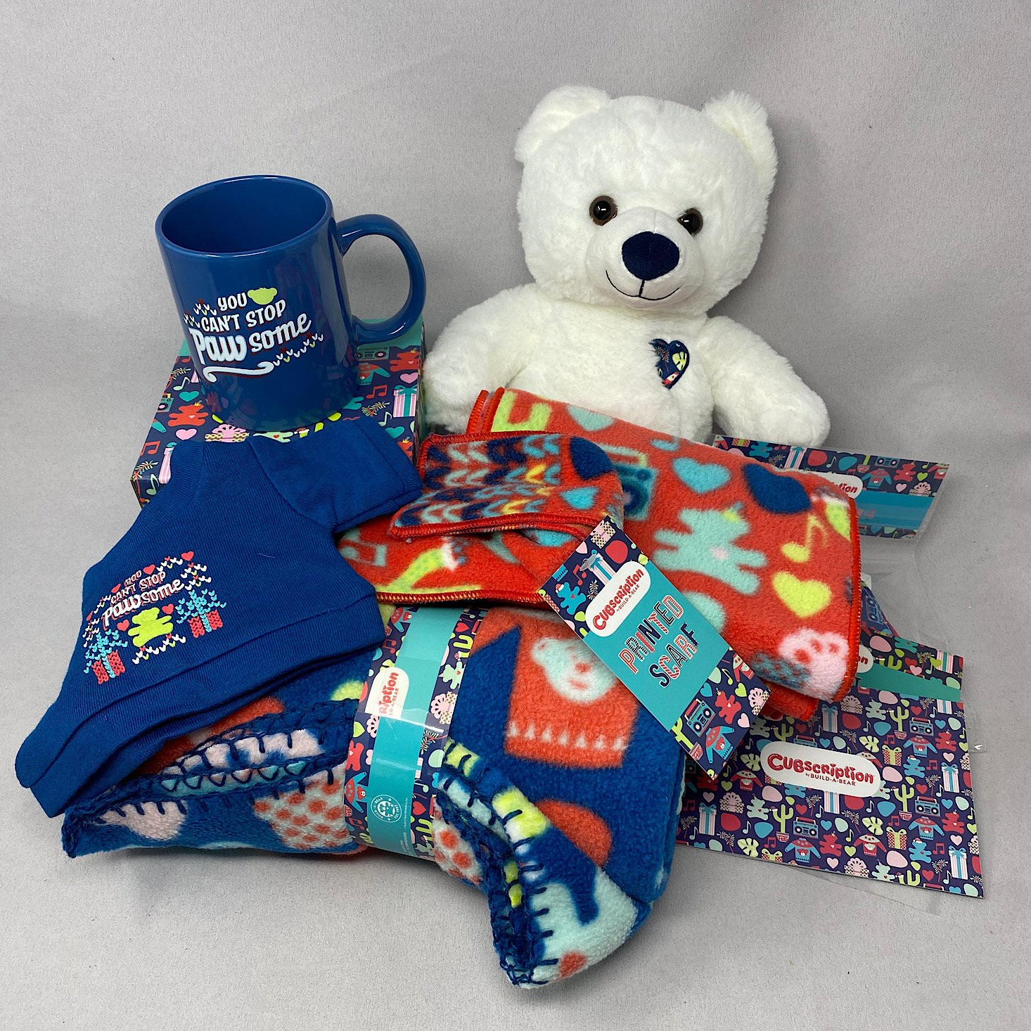 Cubscription by Build-A-Bear Box Review – Winter 2020