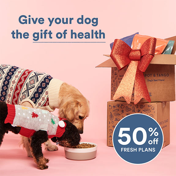 Spot & Tango Holiday Deal – 50% Off Your First Box!