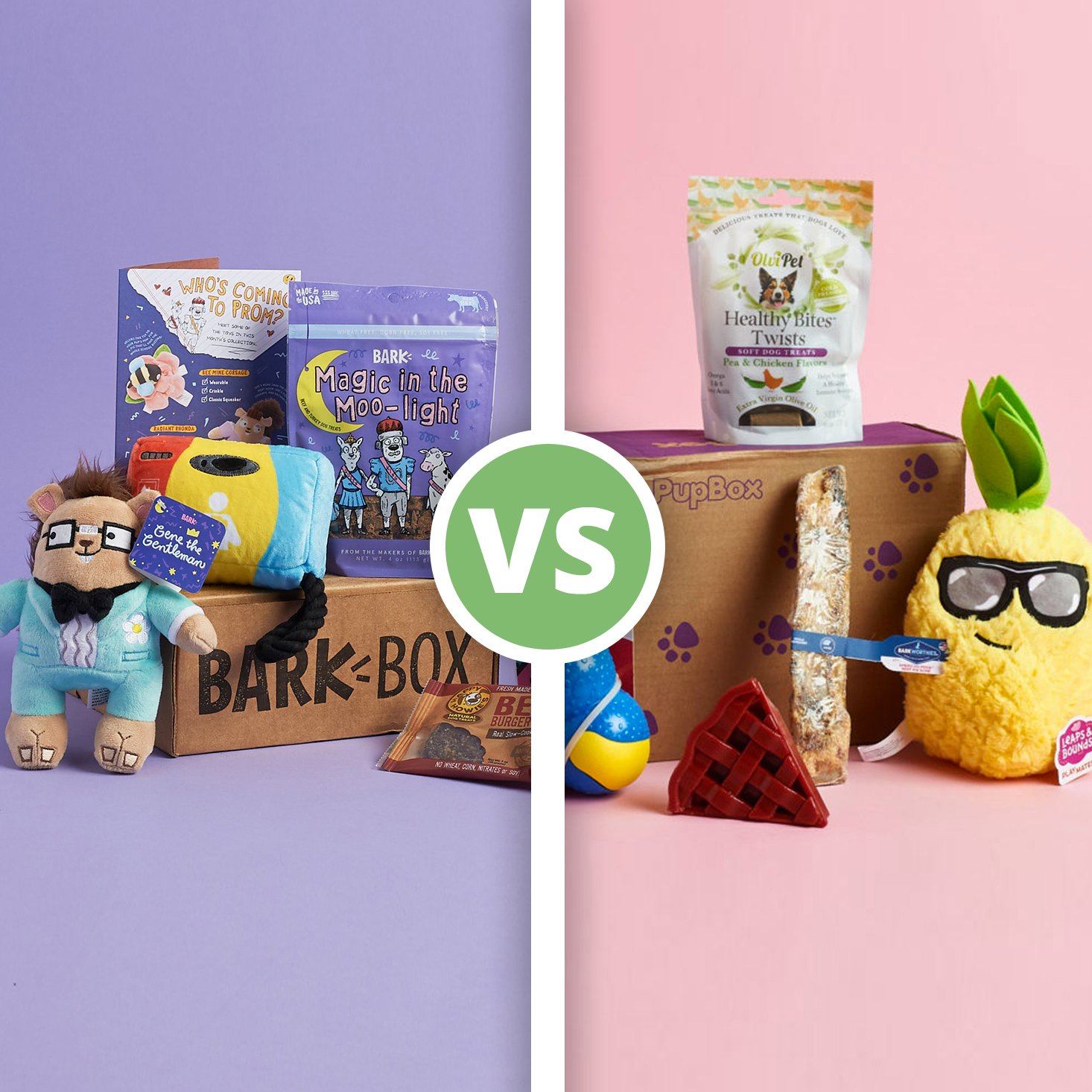 BarkBox vs. PupBox — Which is Better for Your Pup?