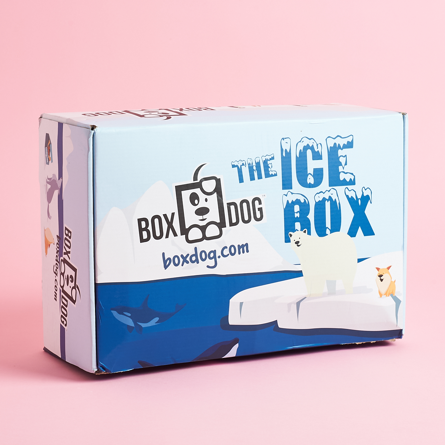 BoxDog Pet Subscription Box Review + Coupon – Winter 2020