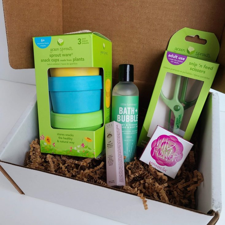 Ecocentric Moms Box November 2020 all items