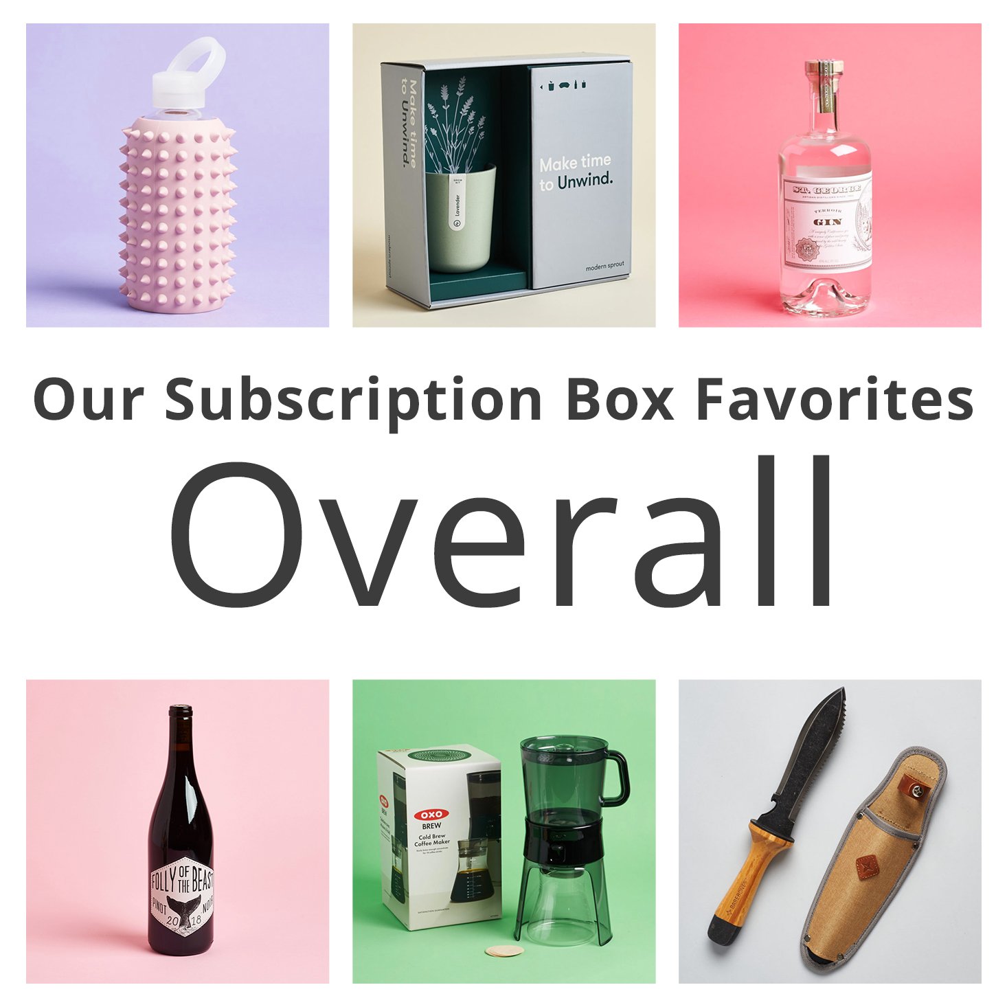 The MSA Team’s Subscription Box Favorites for January 2021!
