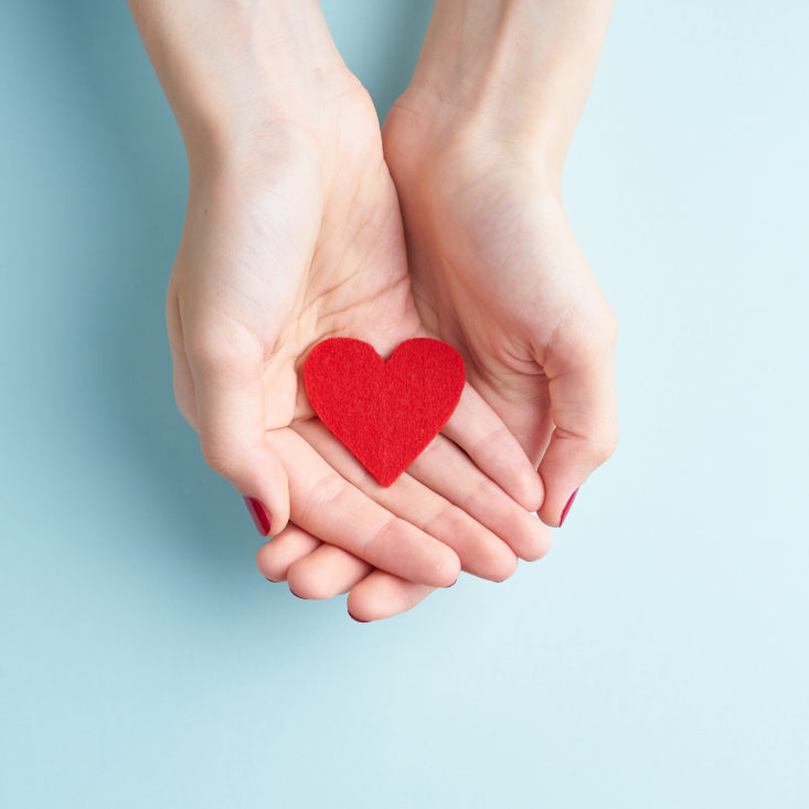 young hands holding or giving a red heart, concept of family and donation or adoption, helth care the medicine concept