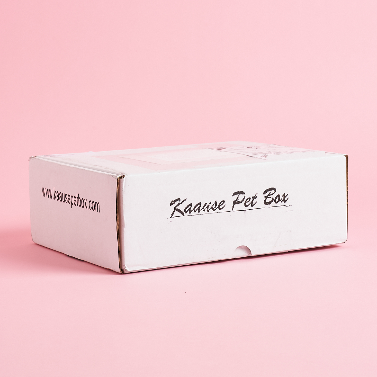 Kaause Pet Subscription Box Review + Coupon – December 2020