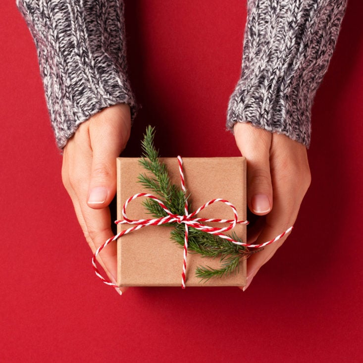 Female's hands in pullover holding Christmas gift box decorated with evergreen branch on red background. Christmas and New Year concept.