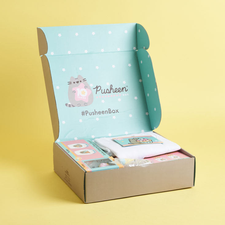 Pusheen Box Review - Winter 2020