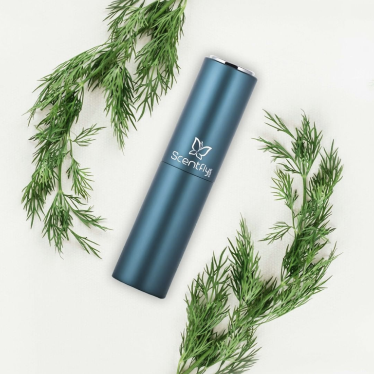 11 Best Cologne Subscription Boxes for Every Person MSA MSA